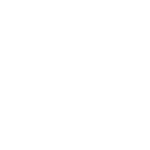 LH Aesthetic Logo